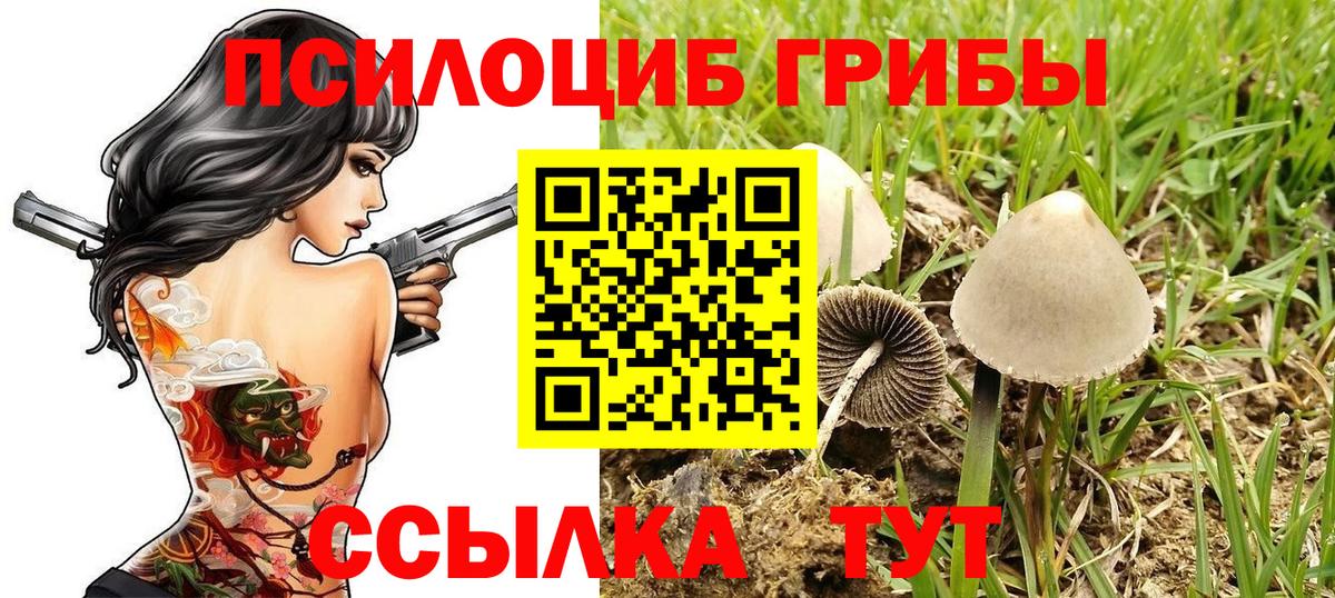 Галлюциногенные грибы мицелий Назрань